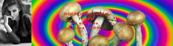 гашишное масло Зеленокумск