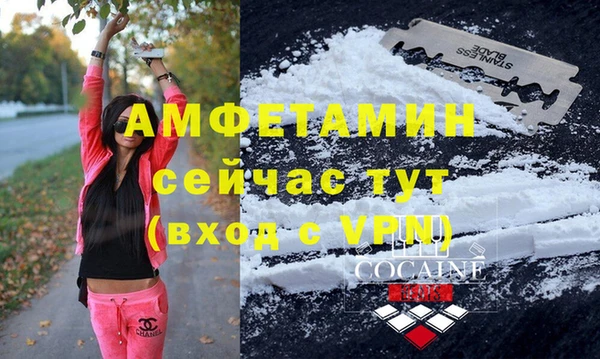 сатива Заводоуковск