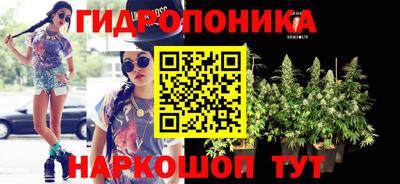 дмт Волгодонск