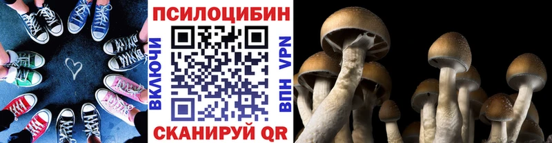 блэк спрут онион  маркетплейс клад  Псилоцибиновые грибы GOLDEN TEACHER  Избербаш 